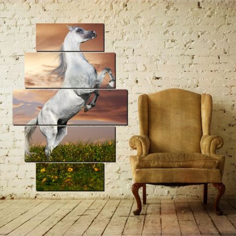 Comprar Caballos 66 en Electroshopy